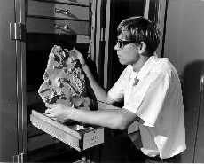 a lunar paleontologist